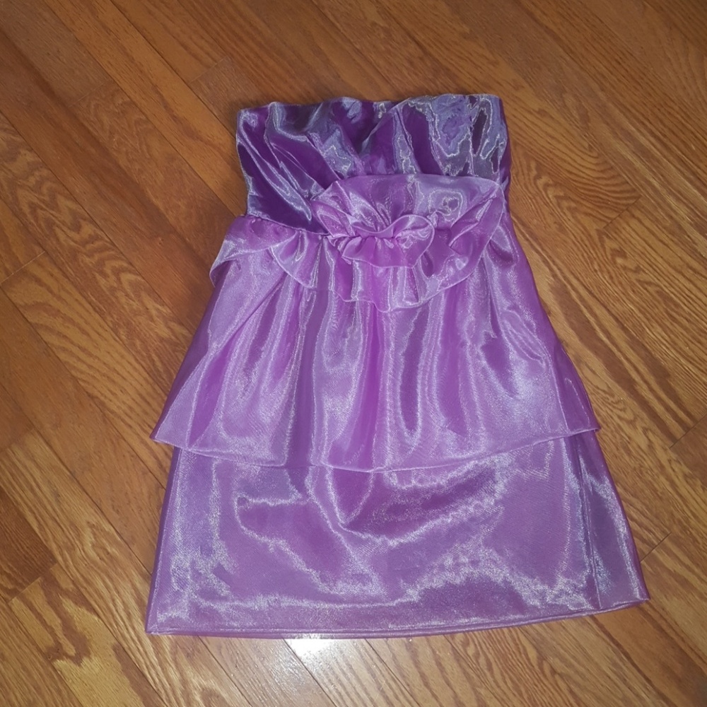 The Limited -  Purple Organza Dresses - Size 10